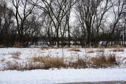 Lot 48 W South Bernice, Round Lake, IL 60073