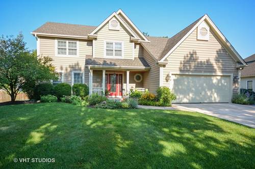 5219 Coneflower, Naperville, IL 60564