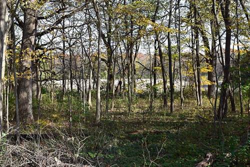 Lot 15 Kendall, Campton Hills, IL 60124