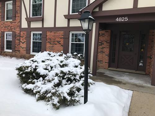 4825 Kimball Hill Unit D2, Rolling Meadows, IL 60008