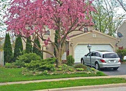 463 Glenmore, Roselle, IL 60172