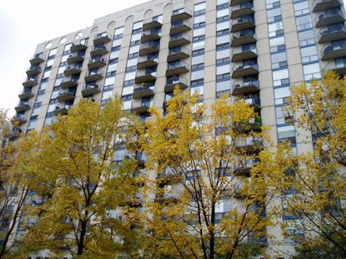1250 N LaSalle Unit 1213, Chicago, IL 60610