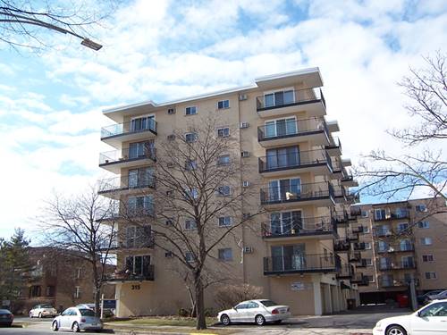 315 Des Plaines Unit 308, Forest Park, IL 60130