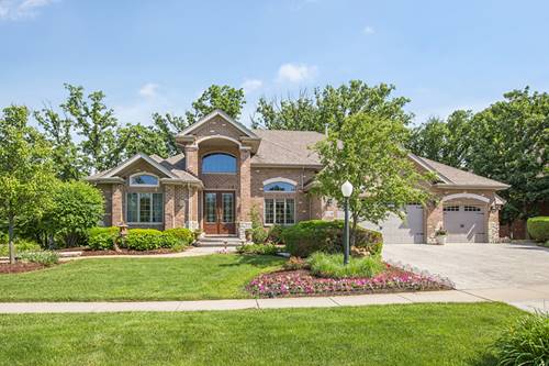 12338 Wedgwood, Homer Glen, IL 60491