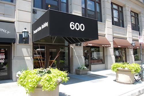 600 S Dearborn Unit 505, Chicago, IL 60605