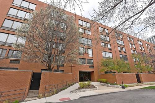 1169 S Plymouth Unit 301, Chicago, IL 60605