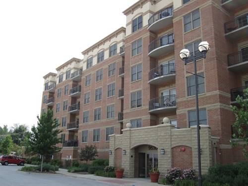 9530 Cook Unit 509, Oak Lawn, IL 60453