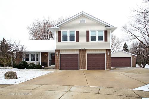 856 Racine, Elk Grove Village, IL 60007