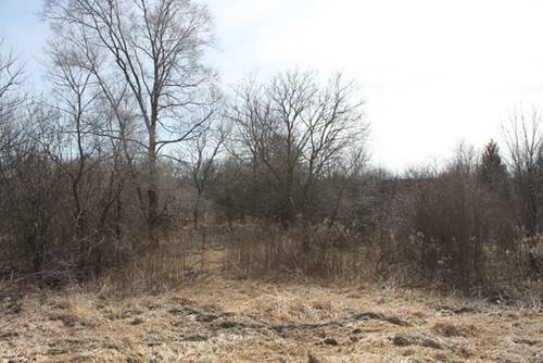 Lot 1 Fabyan, Elburn, IL 60119