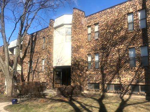 2212 Country Club Unit 4, Woodridge, IL 60517