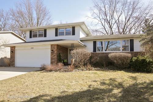 1205 Countryside, Elgin, IL 60123