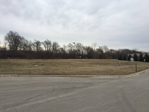 Lot 3 Stone, New Lenox, IL 60451