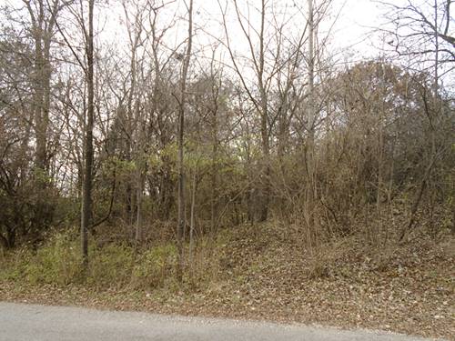 Lot 16 Rose Marie, Wonder Lake, IL 60097