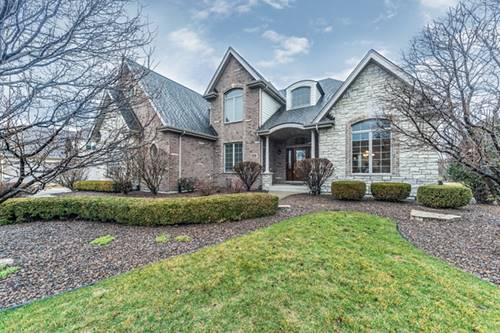 11102 Venezia, Frankfort, IL 60423