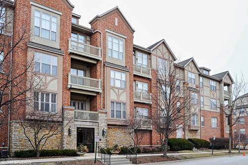 1739 Tudor Unit 303, Northbrook, IL 60062