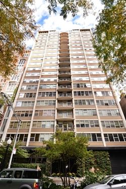 40 E Cedar Unit 3A, Chicago, IL 60611