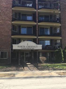 1 N Chestnut Unit 3C, Arlington Heights, IL 60005