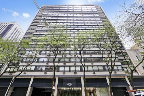 33 E Cedar Unit 8B, Chicago, IL 60611