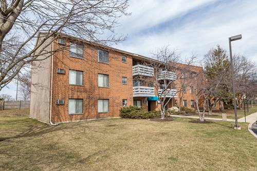 1311 N Winslowe Unit 204, Palatine, IL 60074