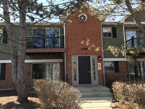 1364 Mc Dowell Unit 101, Naperville, IL 60563