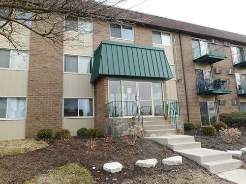 230 Spring Hill Unit 207, Roselle, IL 60172