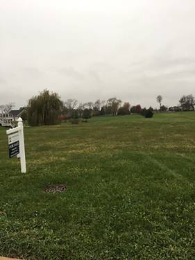 Lot 20 Andrew, Plano, IL 60545