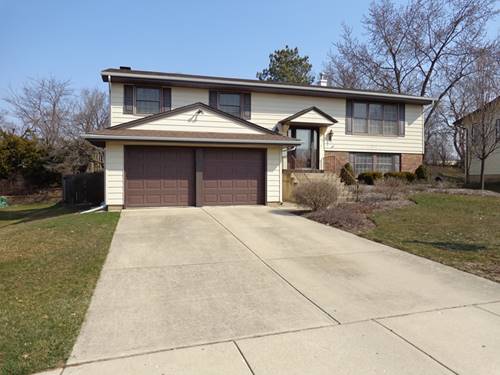 221 Freeport, Bloomingdale, IL 60108