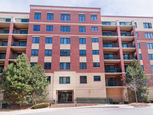 20 S Main Unit 202, Mount Prospect, IL 60056