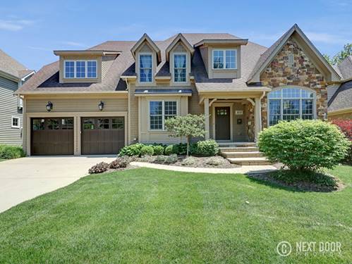 808 S Wright, Naperville, IL 60540