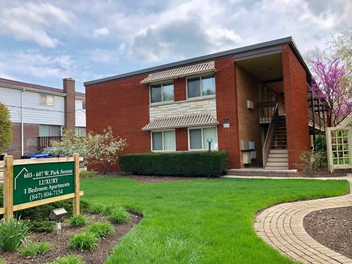 603 W Park Unit 103, Libertyville, IL 60048