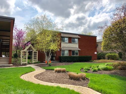 607 W Park Unit 204, Libertyville, IL 60048