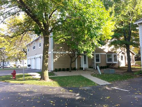 406 N Cambridge Unit 406, Palatine, IL 60067