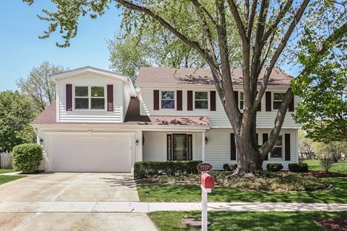 1117 Manchester, Naperville, IL 60563