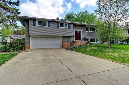 343 Elmwood, Naperville, IL 60540