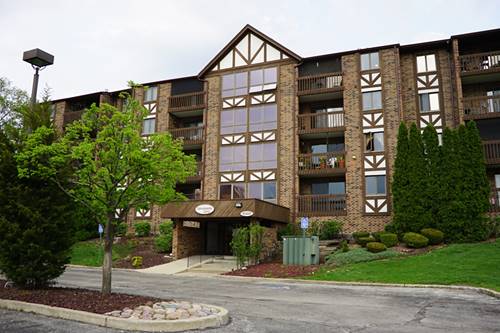 10441 Circle Unit 43C, Oak Lawn, IL 60453