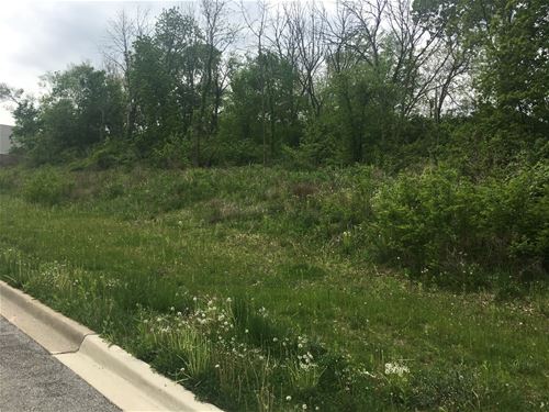 Lot 25 East, Lemont, IL 60439