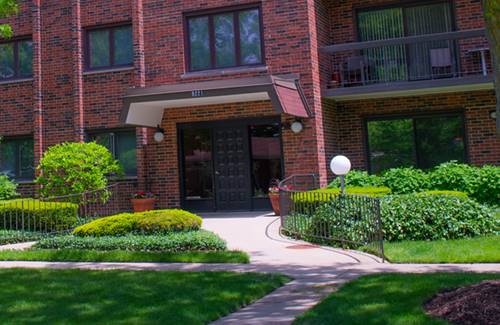 9221 Drake Unit 206N, Evanston, IL 60203