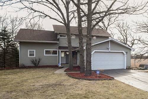 36621 N Elizabeth, Lake Villa, IL 60046