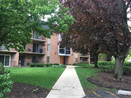 1052 N Mill Unit 204, Naperville, IL 60563