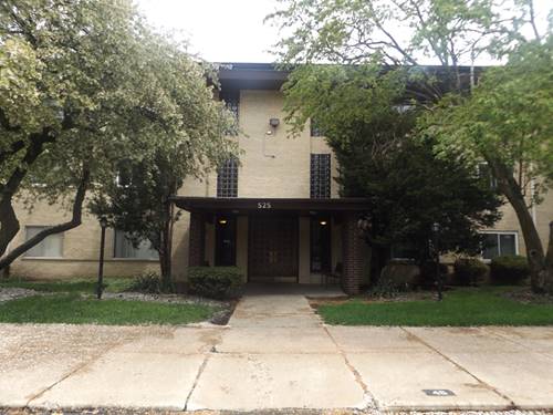 525 S Cleveland Unit 102, Arlington Heights, IL 60005