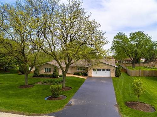 3N551 Elizabeth, Addison, IL 60101