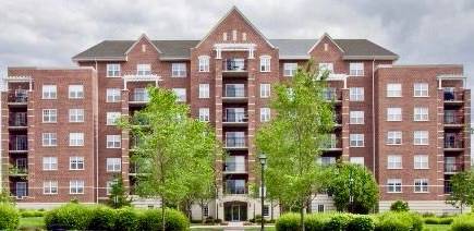 410 W Mahogany Unit 303, Palatine, IL 60067