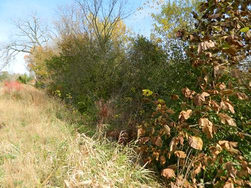 Lot 2 Barclay, Naperville, IL 60563