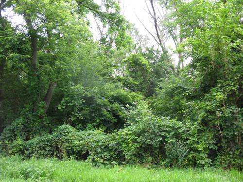 Lot26-28 Cleveland, Mchenry, IL 60050