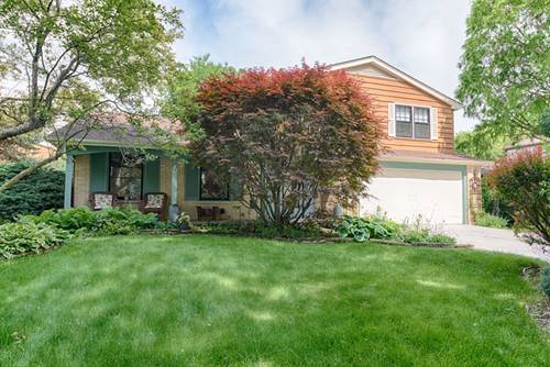 1521 Chickasaw, Naperville, IL 60563