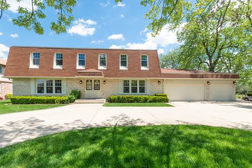 10157 Potter, Des Plaines, IL 60016