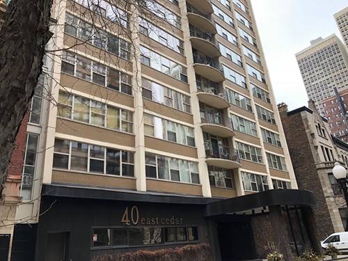 40 E Cedar Unit 5B, Chicago, IL 60611