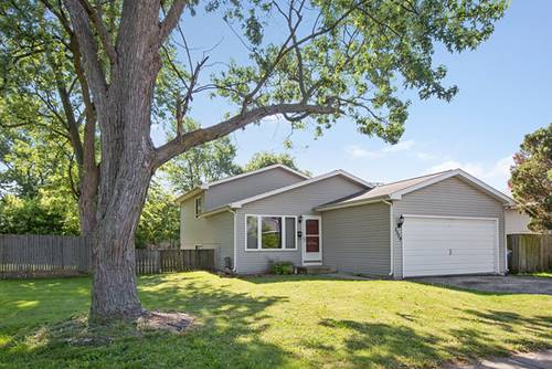 3329 Wallace, Steger, IL 60475