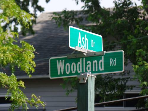 Lot 1 Ash, Oakwood Hills, IL 60013