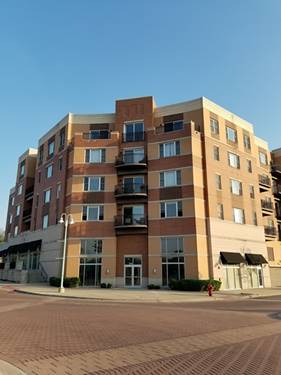 300 Village Unit 205, Willow Springs, IL 60480